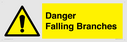 danger-falling-branches~